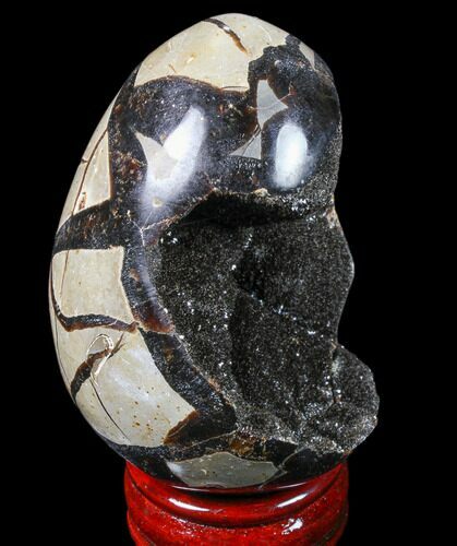 Septarian Dragon Egg Geode - Black Crystals #83397